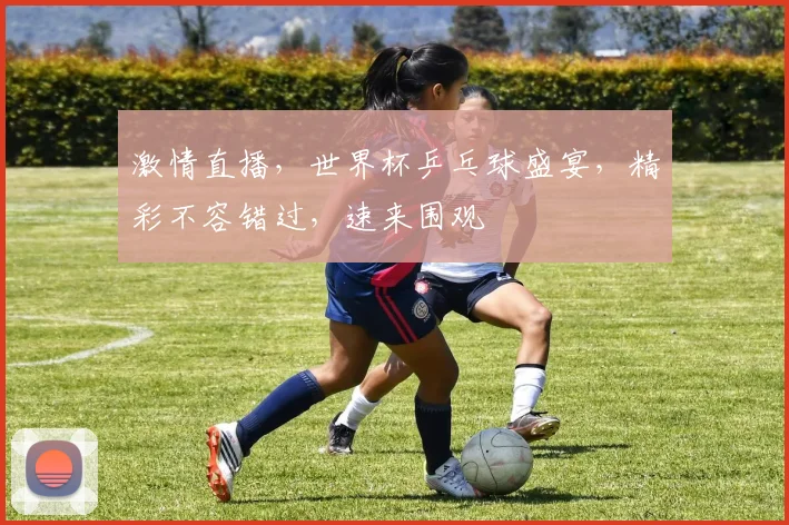 激情直播，世界杯乒乓球盛宴，精彩不容错过，速来围观