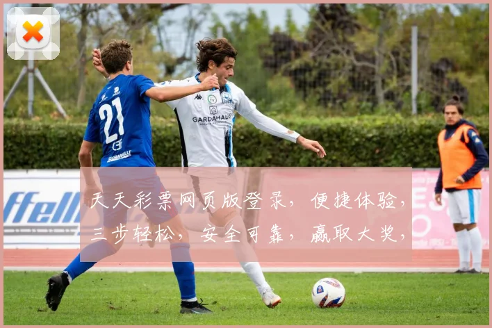 天天彩票网页版登录，便捷体验，三步轻松，安全可靠，赢取大奖，快来加入