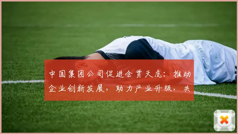 中国集团公司促进会贾天虎：推动企业创新发展，助力产业升级，共谋合作共赢之路