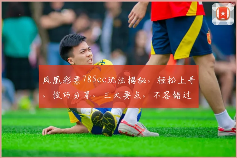 凤凰彩票785cc玩法揭秘，轻松上手，技巧分享，三大要点，不容错过