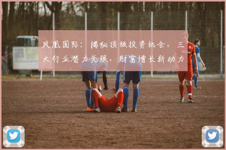 凤凰国际：揭秘顶级投资机会，三大行业潜力无限，财富增长新动力，不容错过