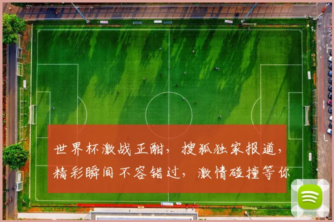 世界杯激战正酣，搜狐独家报道，精彩瞬间不容错过，激情碰撞等你来观